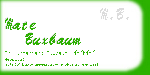 mate buxbaum business card